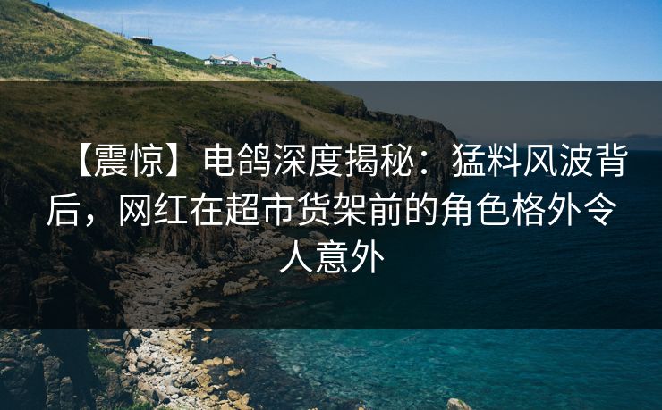 【震惊】电鸽深度揭秘:猛料风波背后,网红在超市货架前的角色格外令人意外