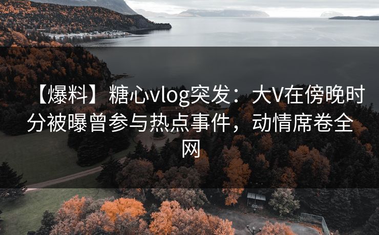 【爆料】糖心vlog突发:大V在傍晚时分被曝曾参与热点事件,动情席卷全网