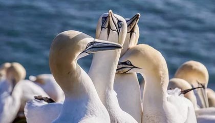 中文在线天堂资源官网：你的数字学习与娱乐新天地