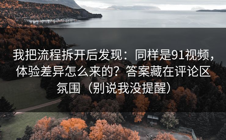 我把流程拆开后发现：同样是91视频，体验差异怎么来的？答案藏在评论区氛围（别说我没提醒）